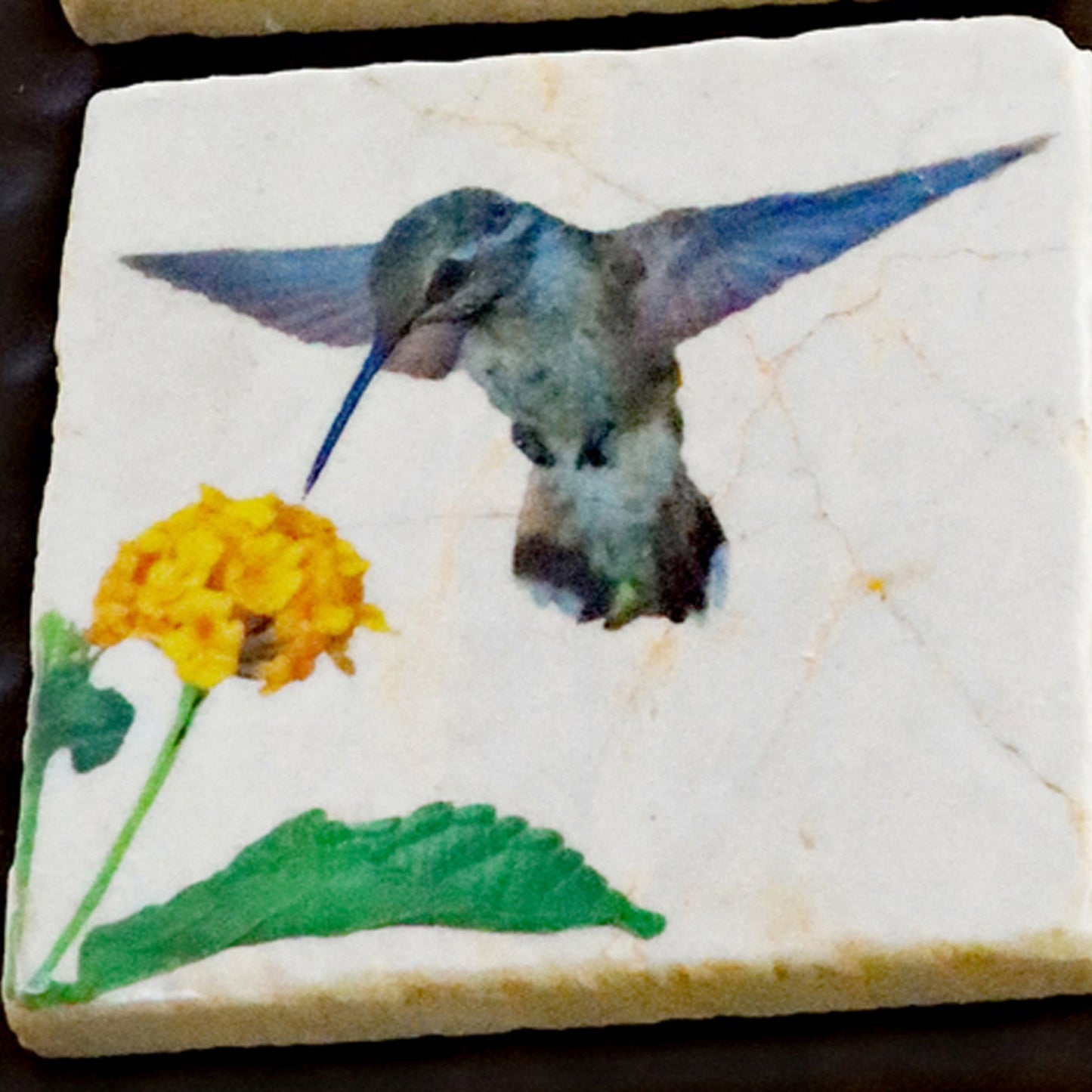 Hummingbird Gifts