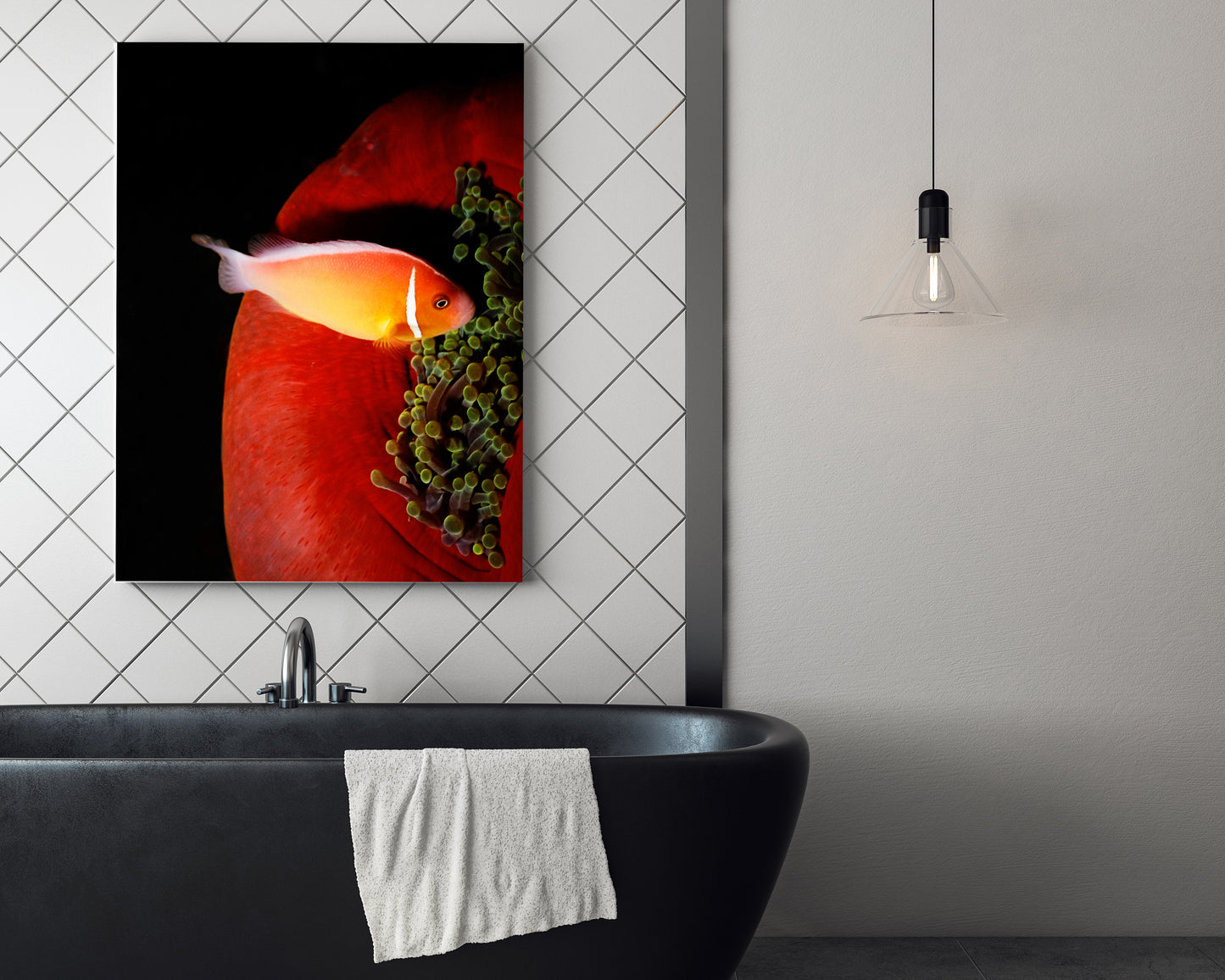 Anemone Fish, Indonesia