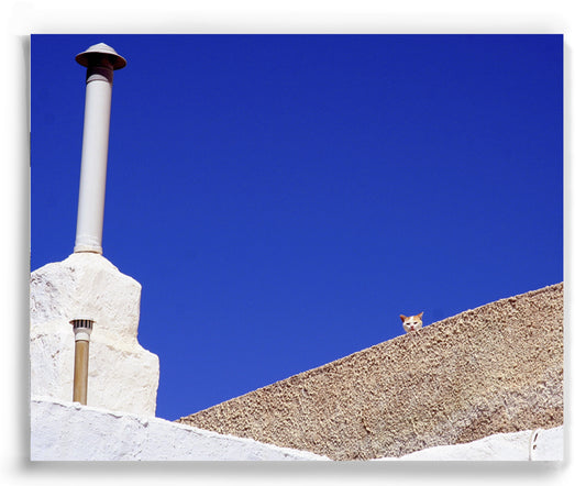 Little Peeker, Milos Greece